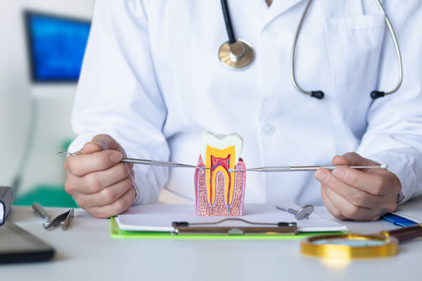 Best Emergency Treatment for Toothache in Fort Branch, IN